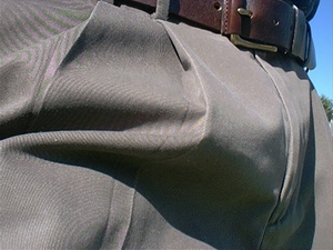nicepants2.jpg