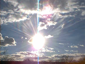 sunny-th.jpg sunny-th.jpg