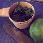 3/4 cup of Chopped Cilantro Chopped Cilantro